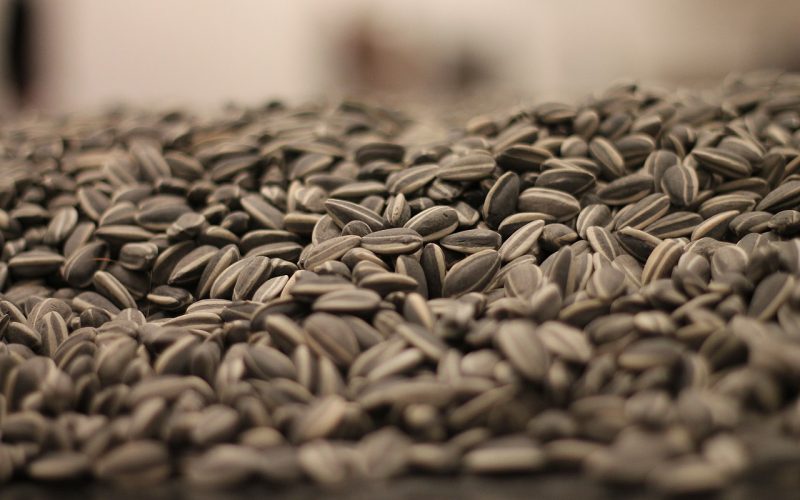 The Politics Of Display – The Tate Modern And Ai WeiWei’s “Sunflower Seeds” (Marcelo de Melo)