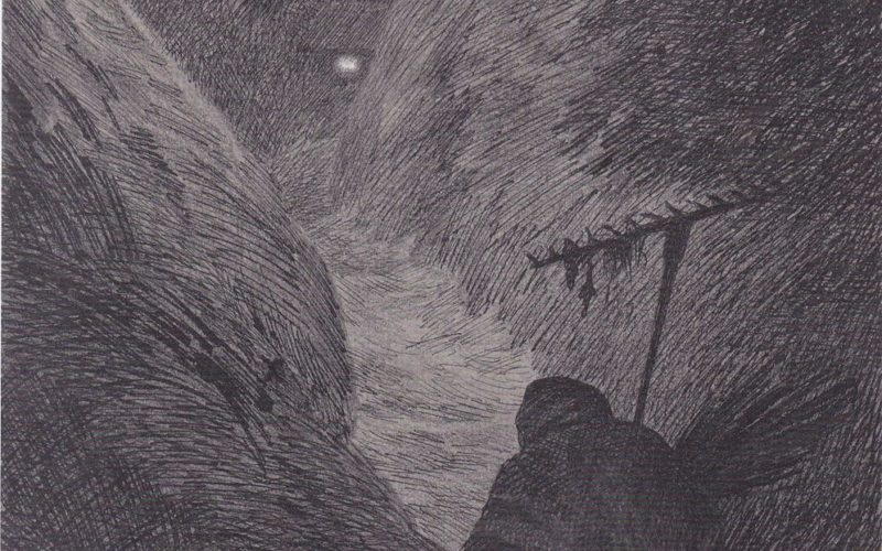 Participatory Reception – First Person Perspective In Horror Films And Video Games, Part 2 (Shelagh Rowan-Legg)