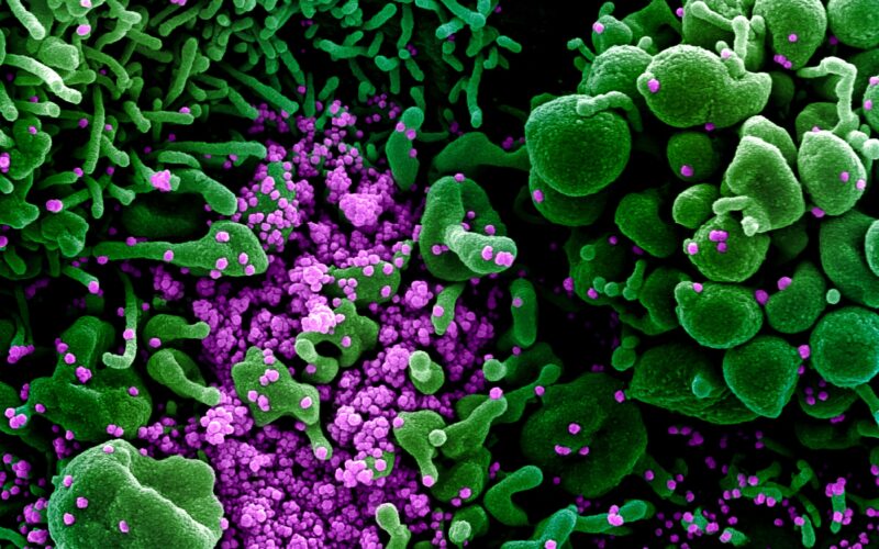Longing For An Impossible Past – Derrida’s Of Grammatology And The Coronavirus, Part 1 (Jared Lacy)